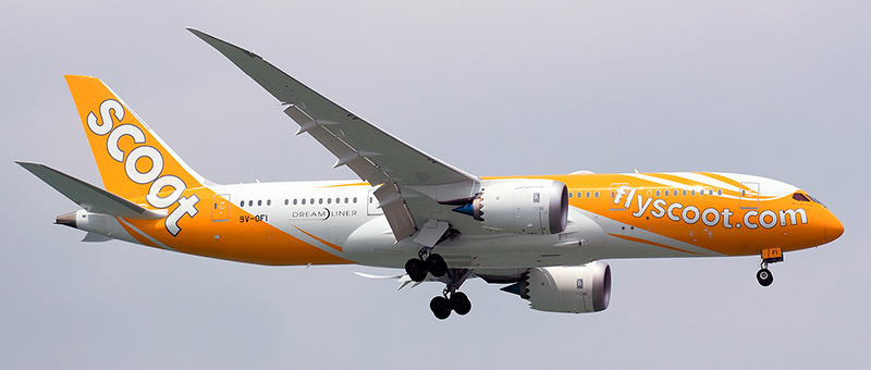 Boeing 787-8 Scoot Airlines. Photos and description of the plane