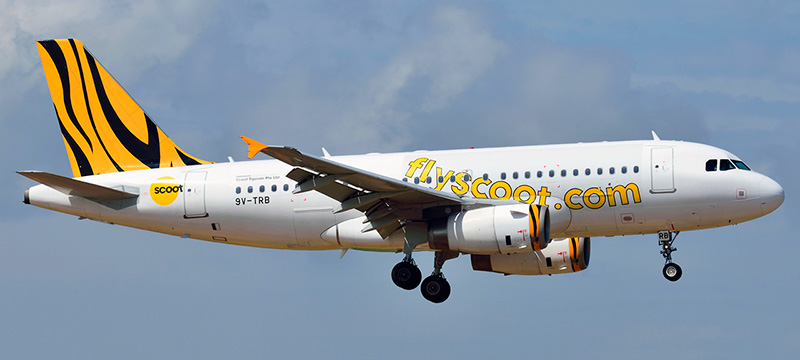 Airbus A319-100 Scoot Airlines. Photos and description of the plane