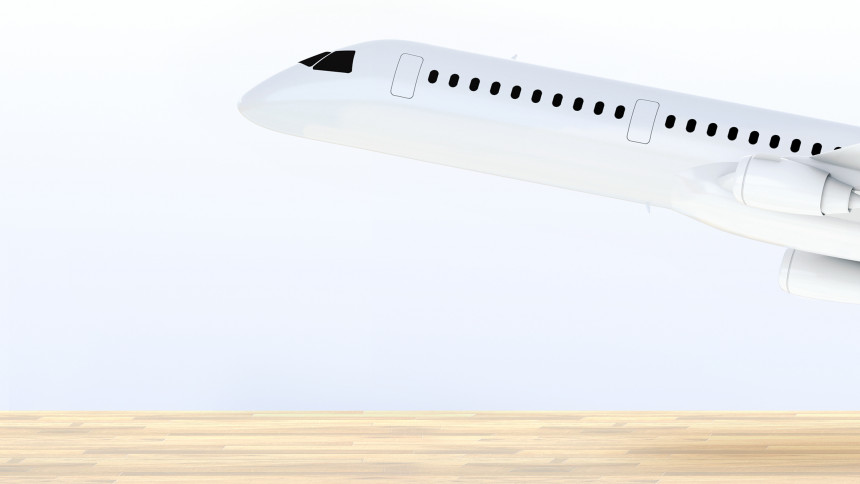 Airplanes made of bamboo will be manufactured in France