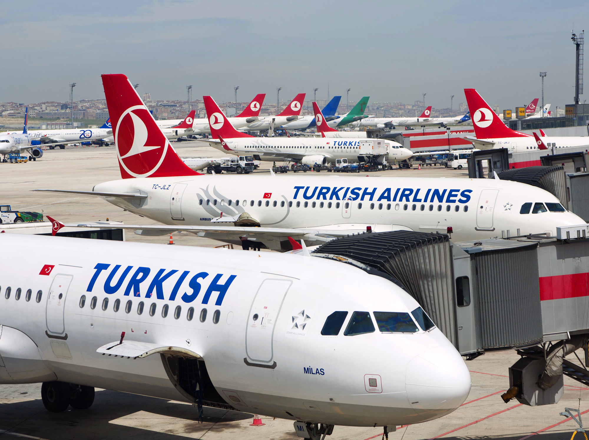 Turkish Airlines opens five business lounges in the new Istanbul airport. Part 1