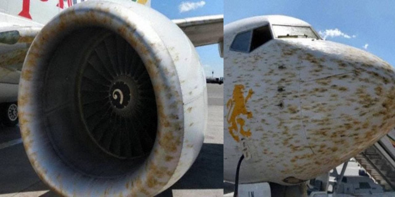 Airplane in Ethiopia changed route because of impact with locusts